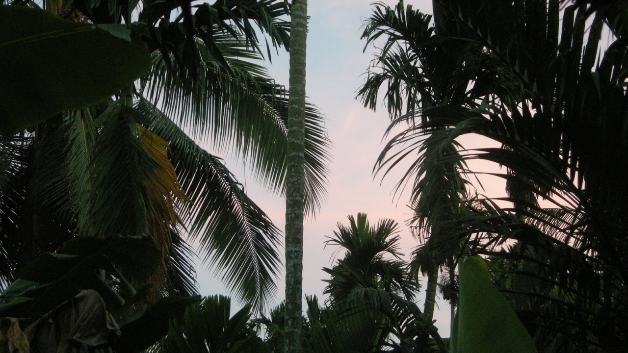 DSCN2783.jpg