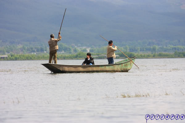 lashihai14.jpg