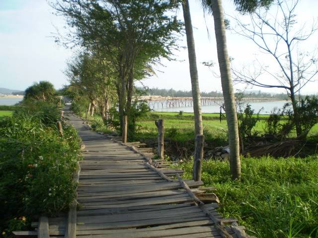 P1010223.jpg