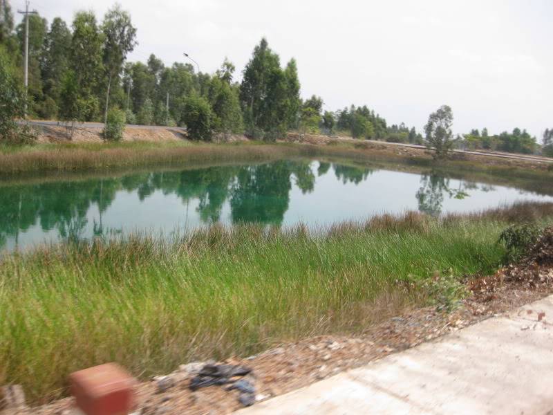 DongThapTET2011422.jpg