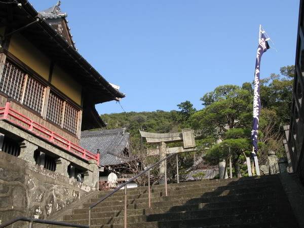 IMG_1032_resize.jpg