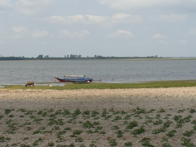 DSC07595.jpg