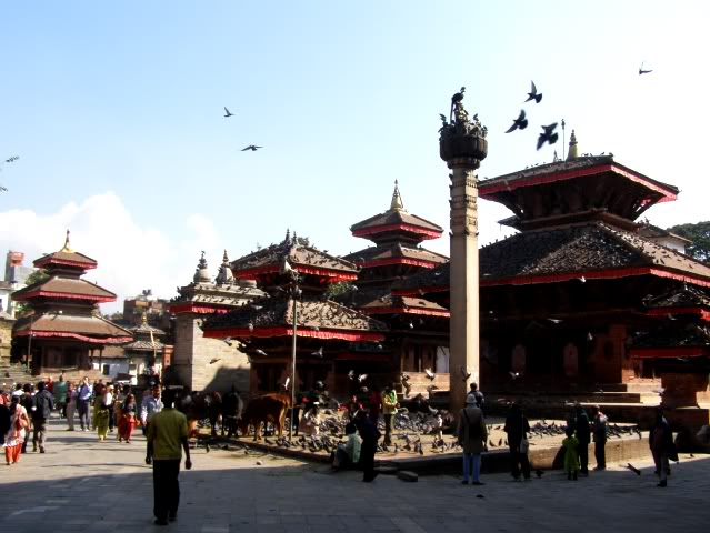 PA260535.jpg