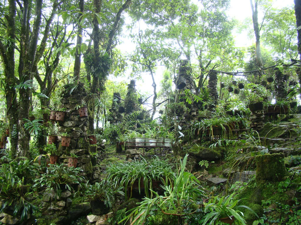 DSC09484.jpg
