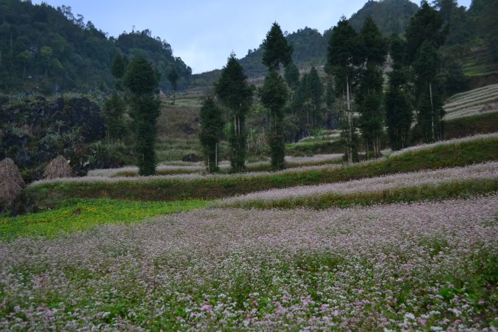 DSC_0156Copy.jpg