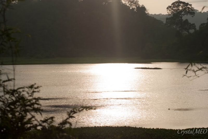 DSC_0157.jpg