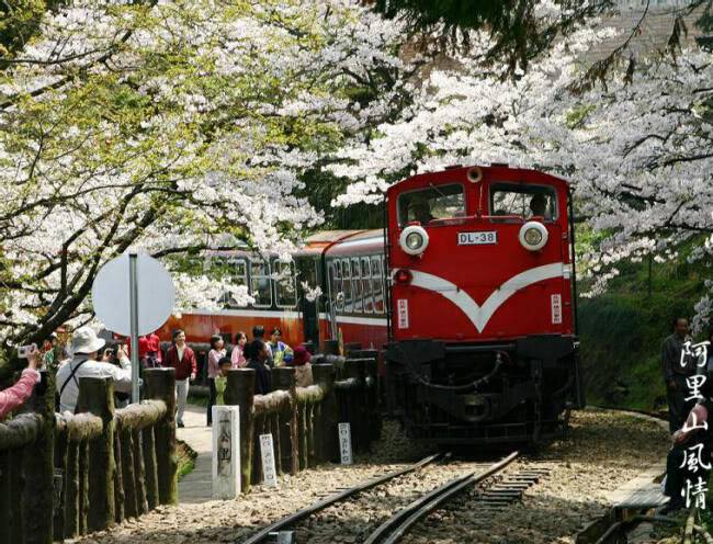 Picture1copy.jpg