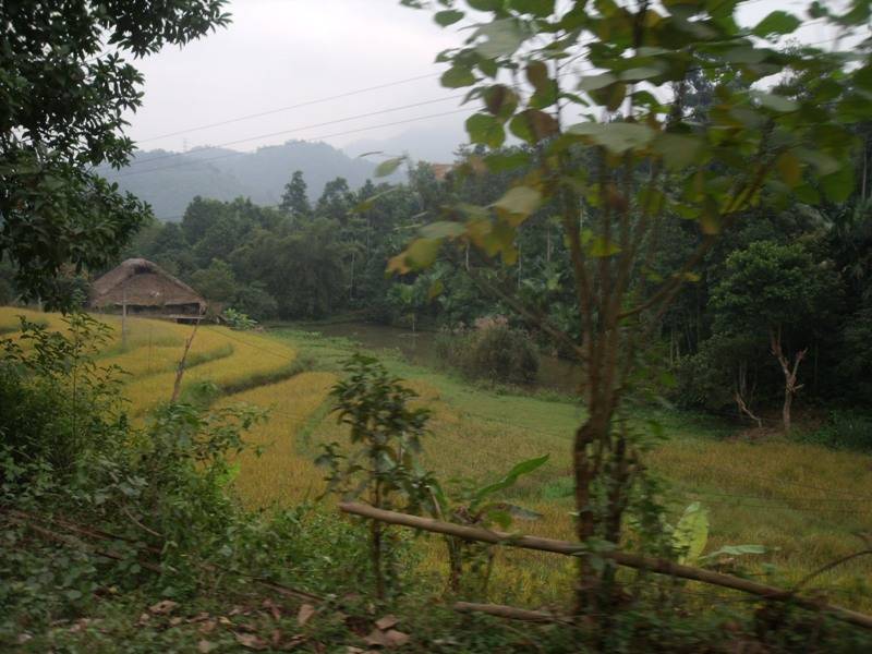 DSCF6164-1.jpg
