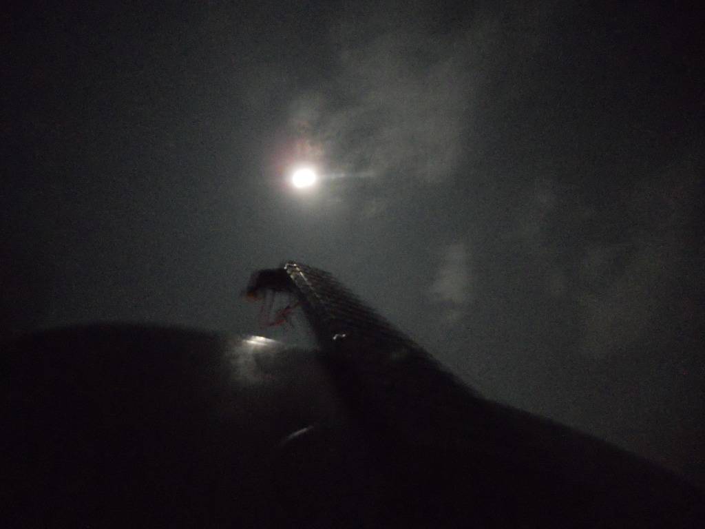 DSCN6741.jpg