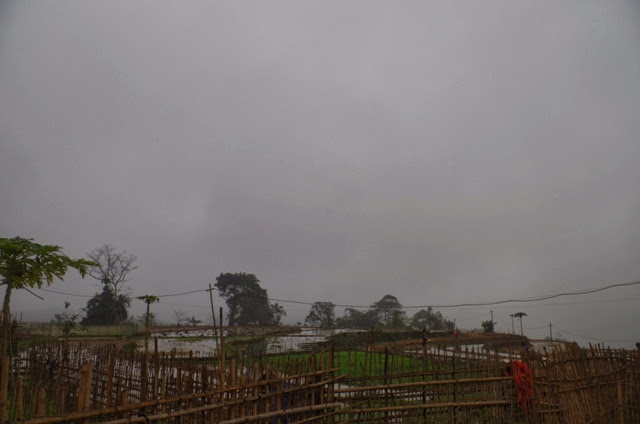 IMGP2233.JPG