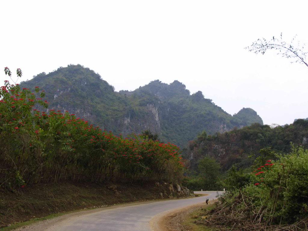 _MG_4190_zps97d8b016.jpg