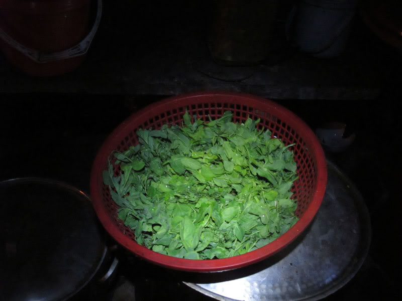 HongNgai2011596.jpg