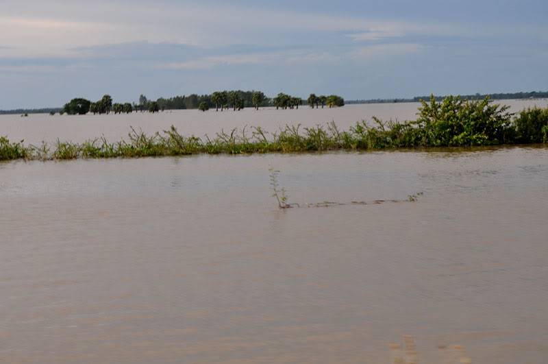 DSC_5229.jpg