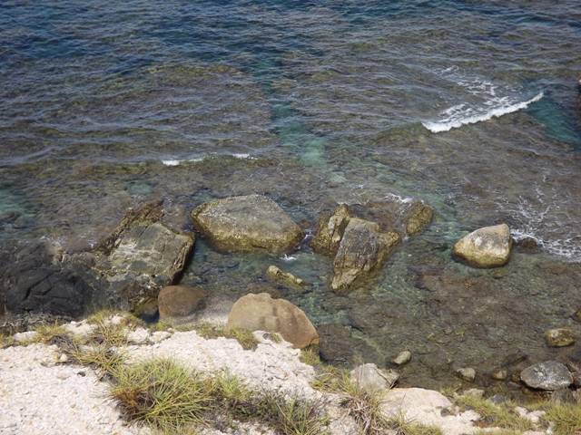 DSCF5402.jpg