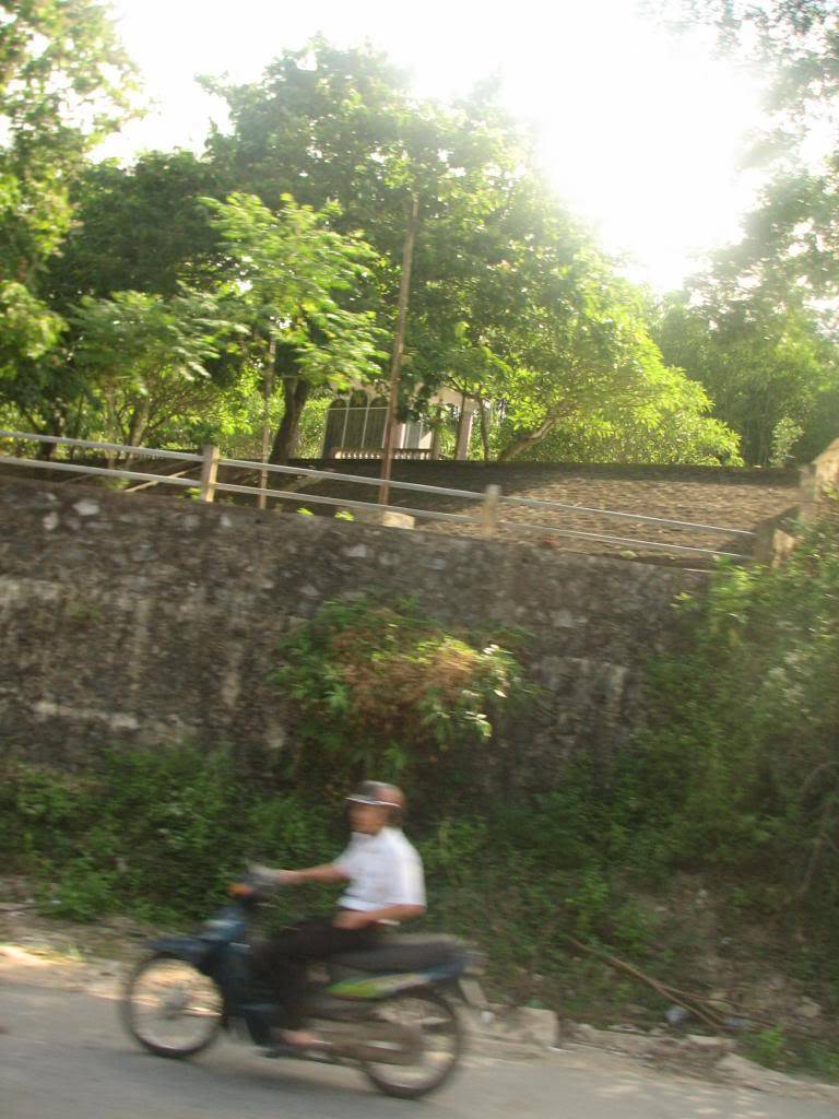 IMG_0468_zps59d73349.jpg