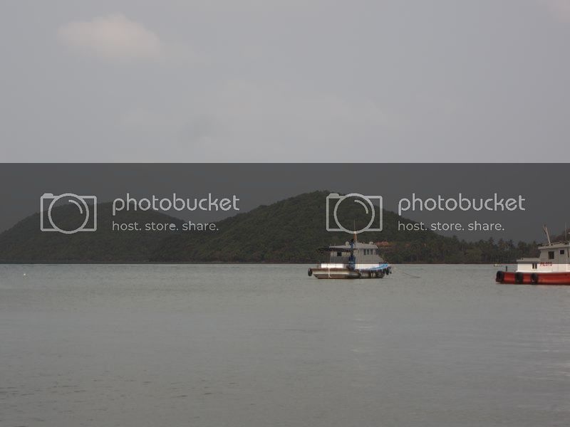 IMG_0477_zps50cbad77.jpg