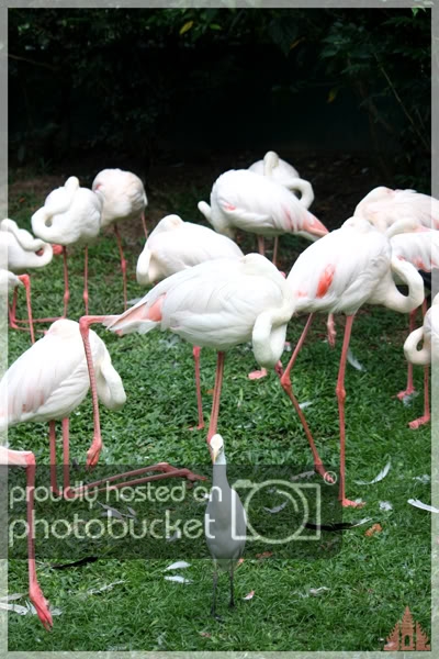 birdpark24.jpg