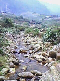 IMG0110A.jpg