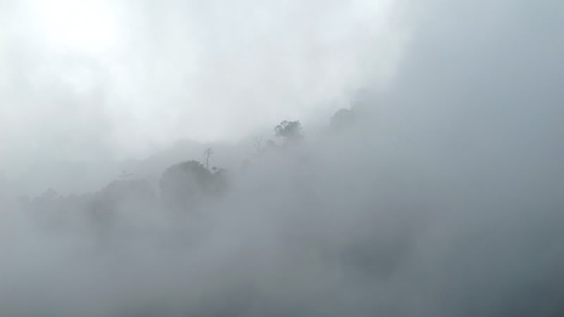 IMG_2416.jpg