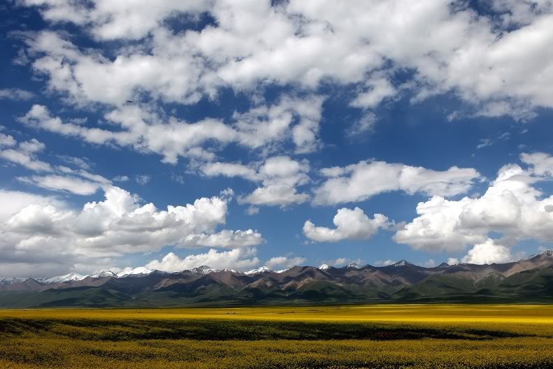 MOUNTAINQILIAN.jpg