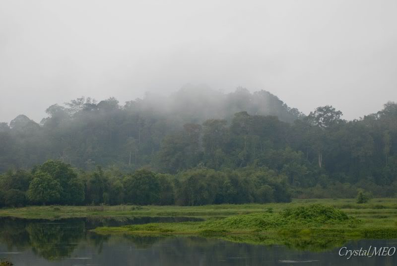 DSC_0286.jpg