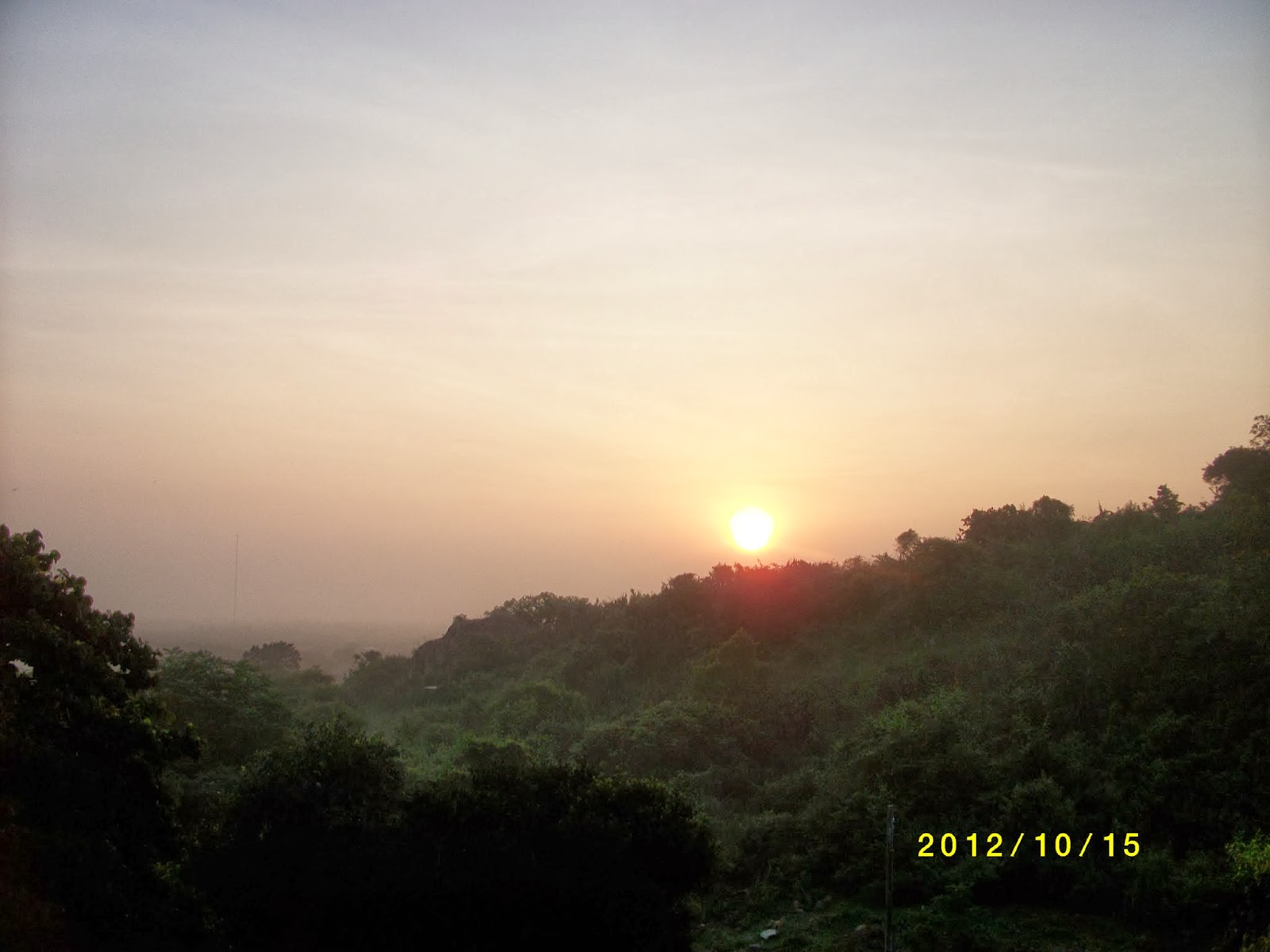 IMGP0690.jpg