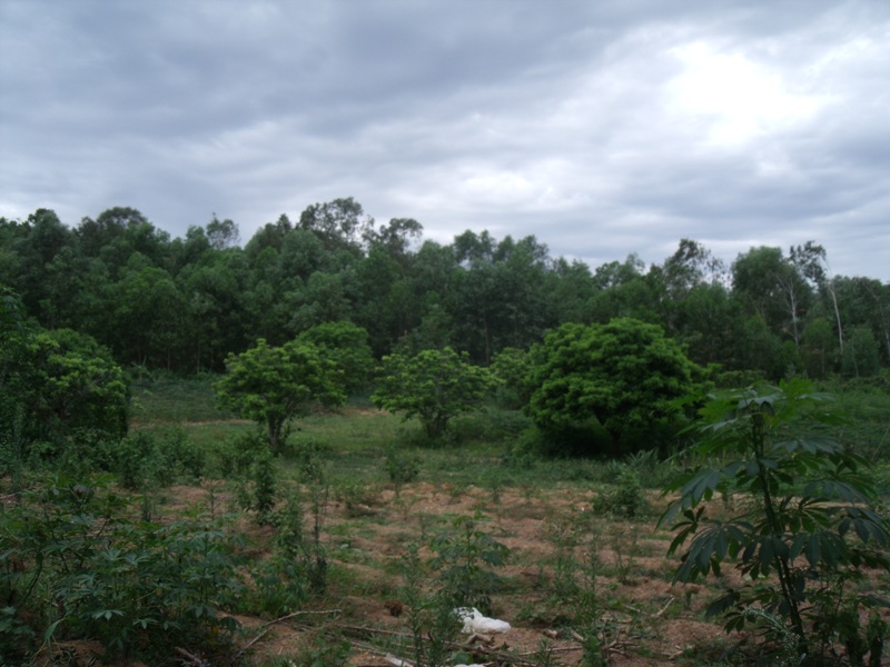 DSCF0095.jpg