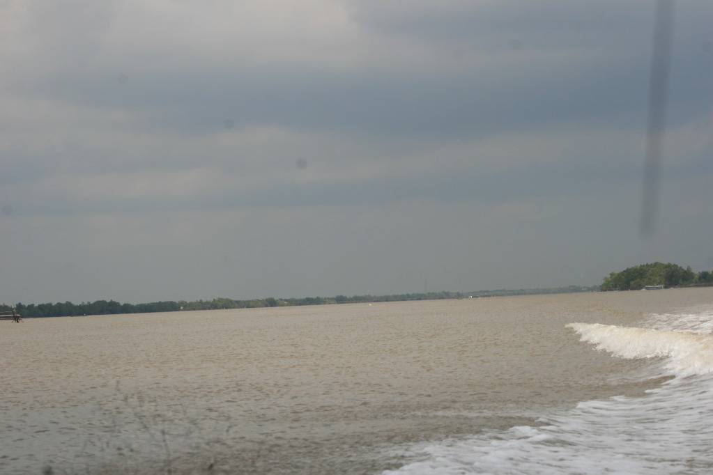 IMG_6466.jpg