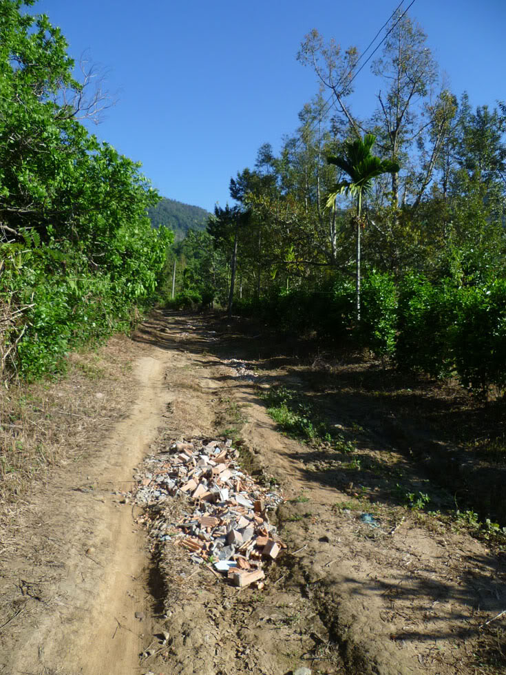 P1050687.jpg