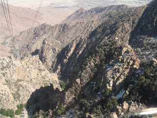 IMG_7350.JPG