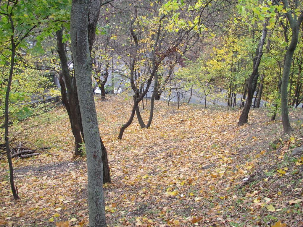 IMG_8388_zps0d112406.jpg