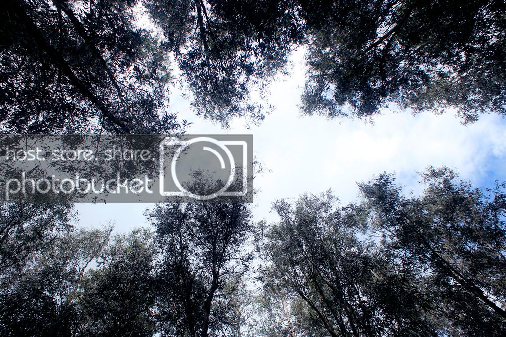 _MG_9899_zpsptiral9c.jpg