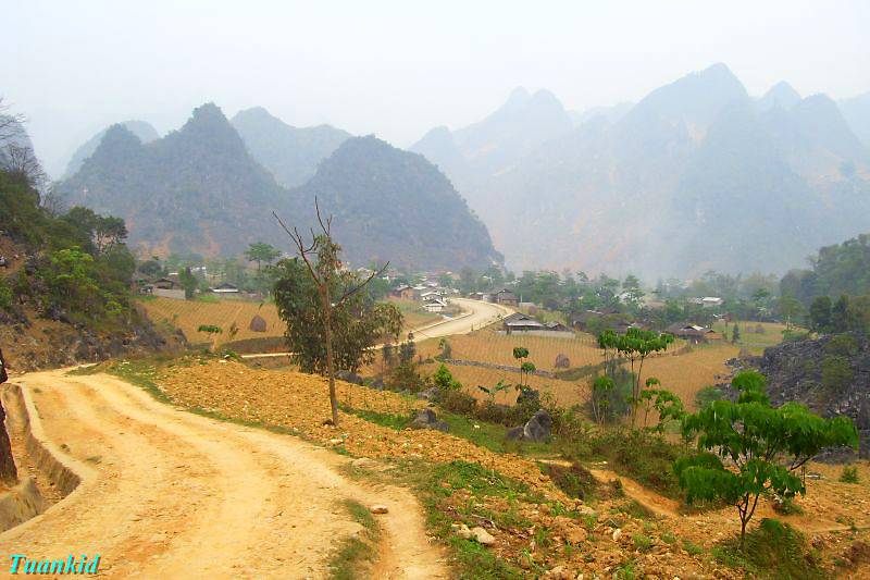SDC16820.jpg