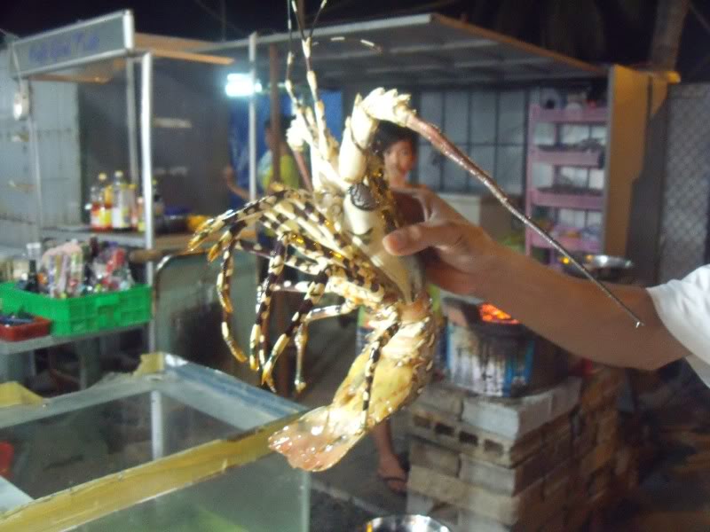 DSCF3402.jpg