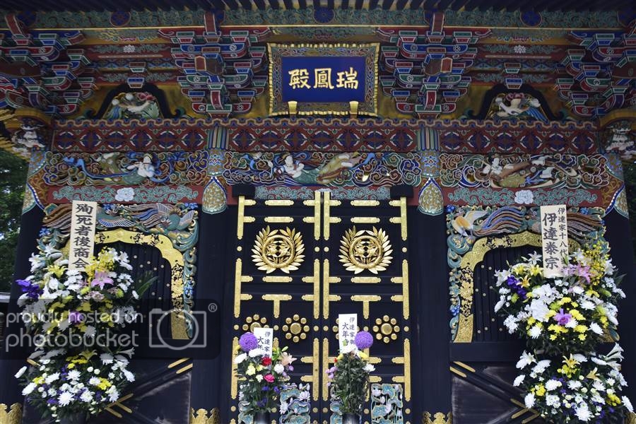 resized__SAM8330_zpswjeahnmw.jpg