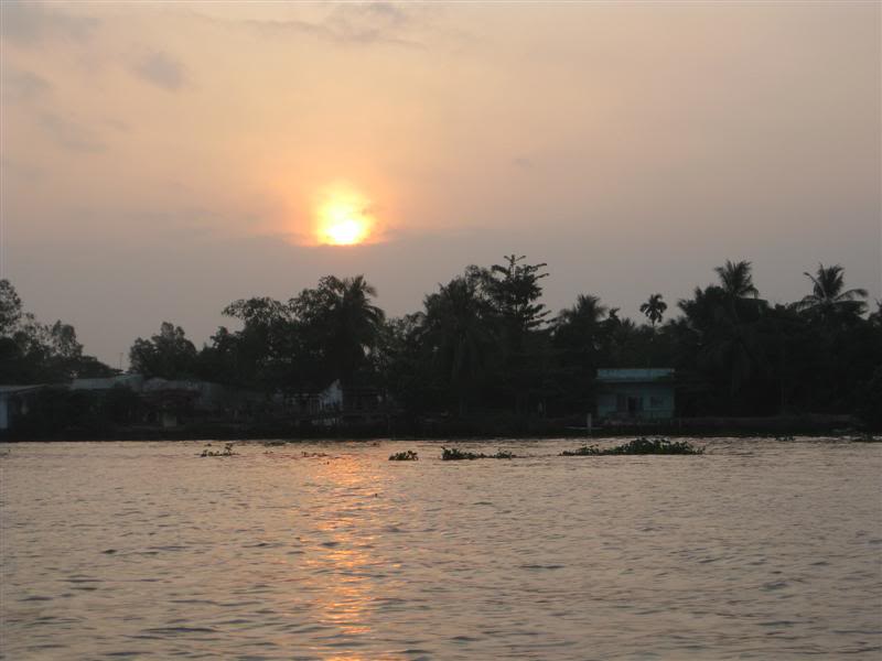 IMG_2850Medium.jpg