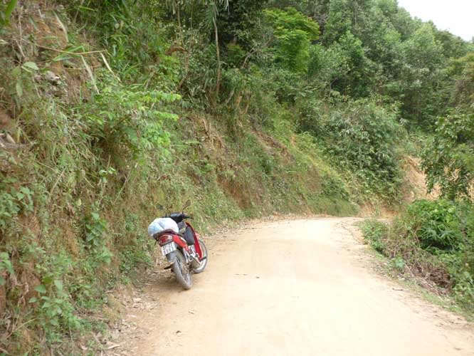 P1300630.jpg