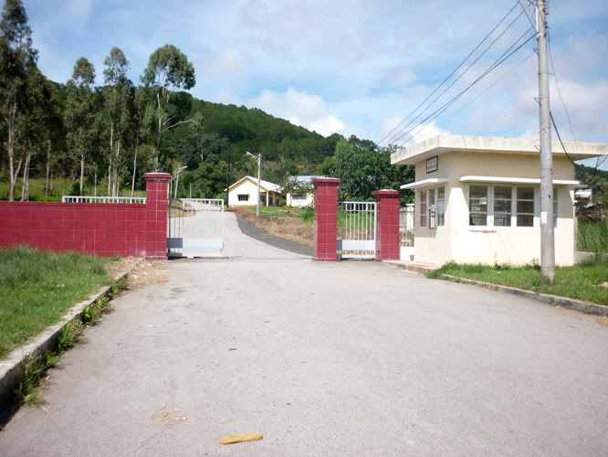 P1370871.jpg