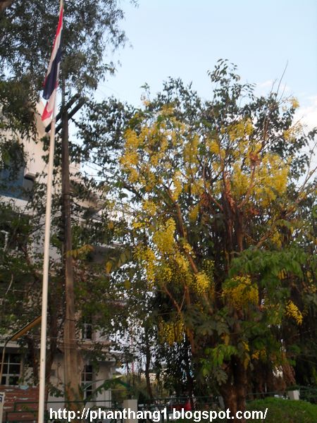 172.JPG