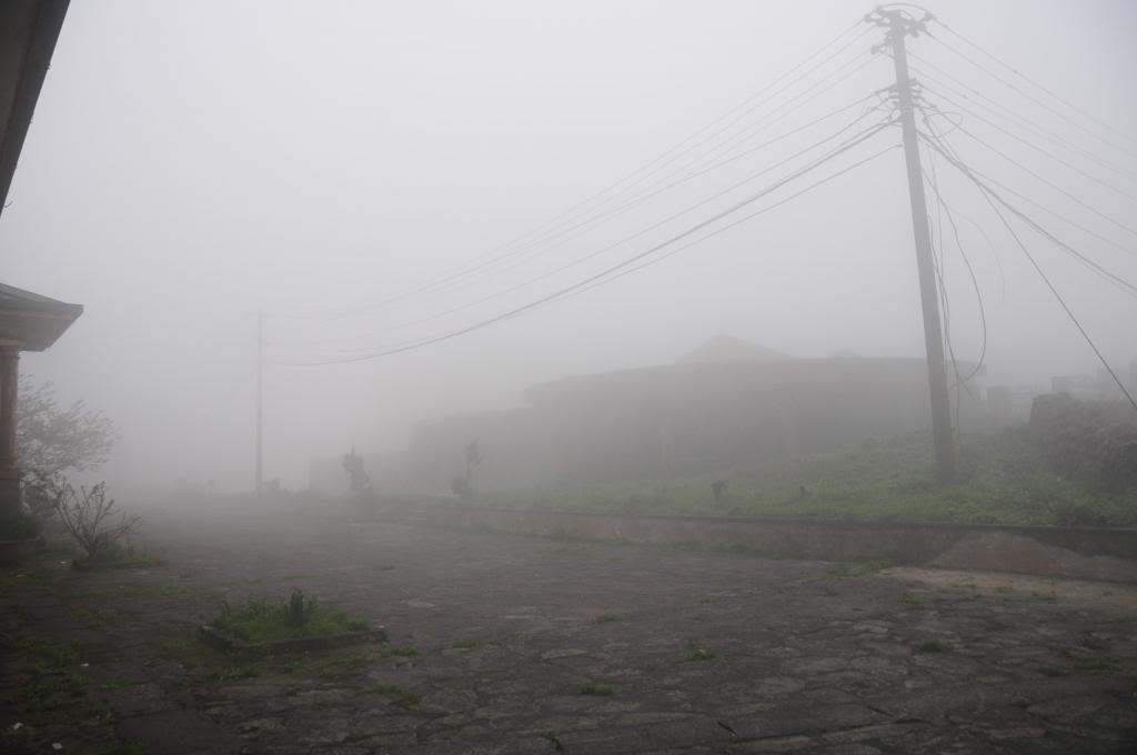 DSC_1614.jpg