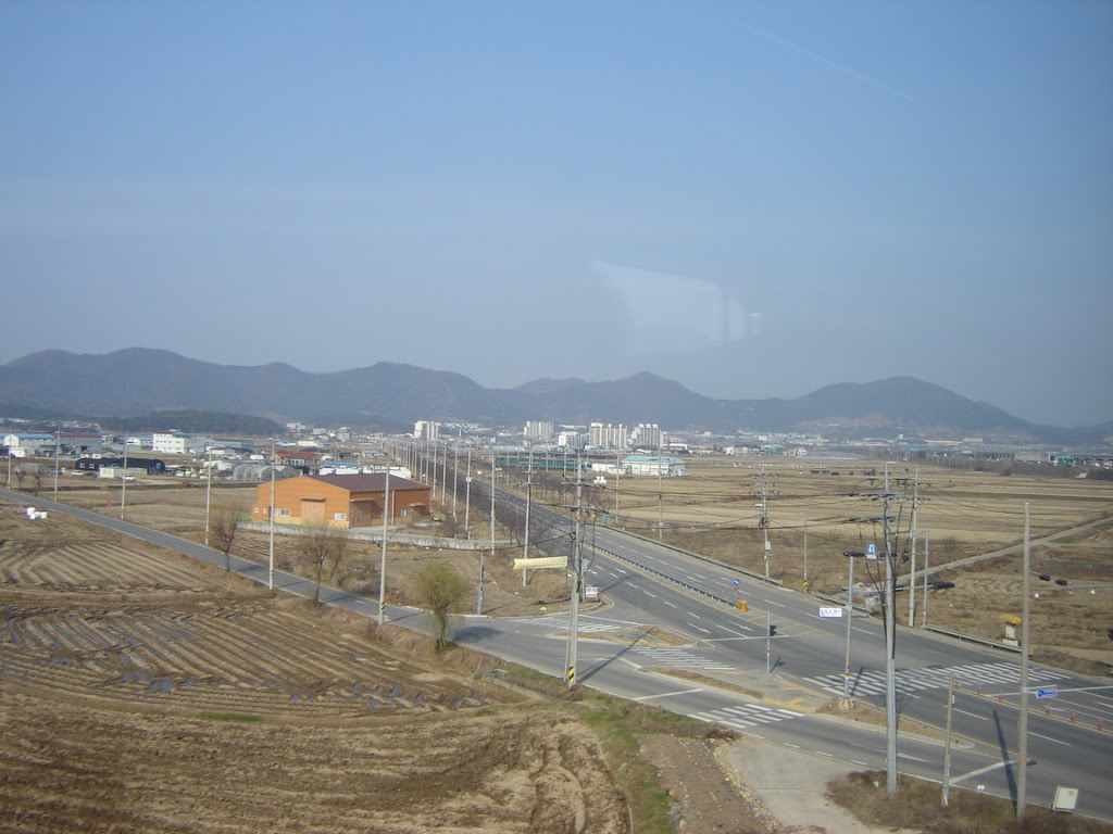 DSC09047.jpg