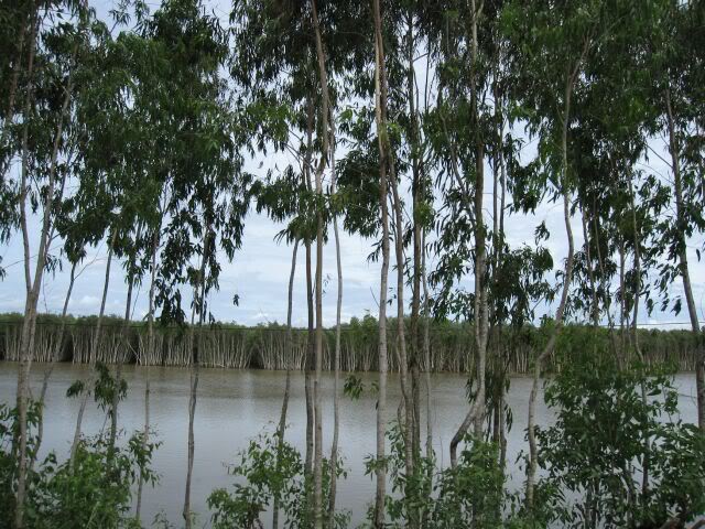 IMG_3470.jpg