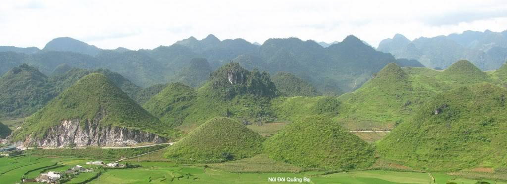 NiiQungB1024x768.jpg