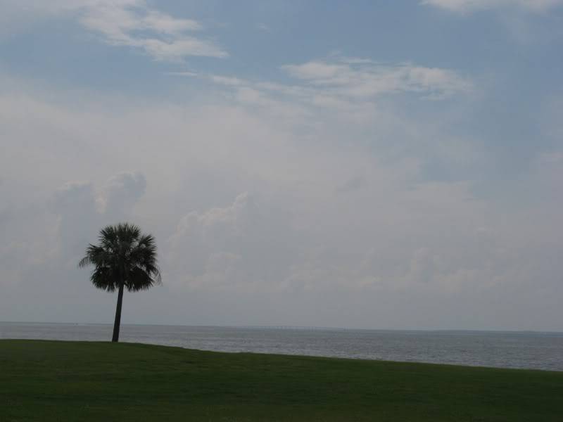 IMG_0327.jpg