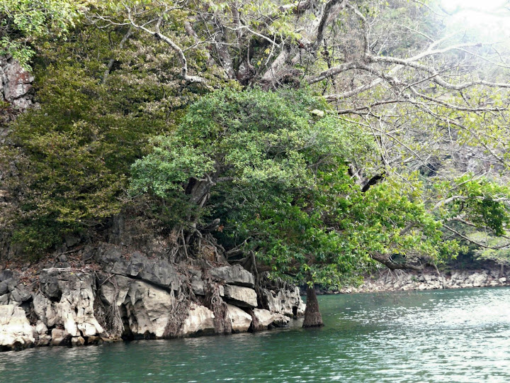 P1050641.JPG
