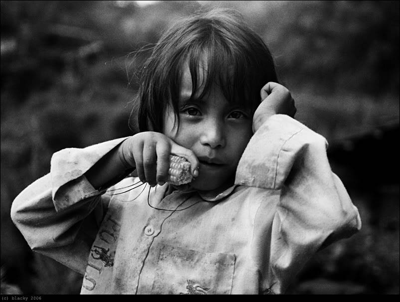 000029bw_800.jpg