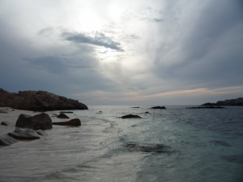 P1010661800x600.jpg