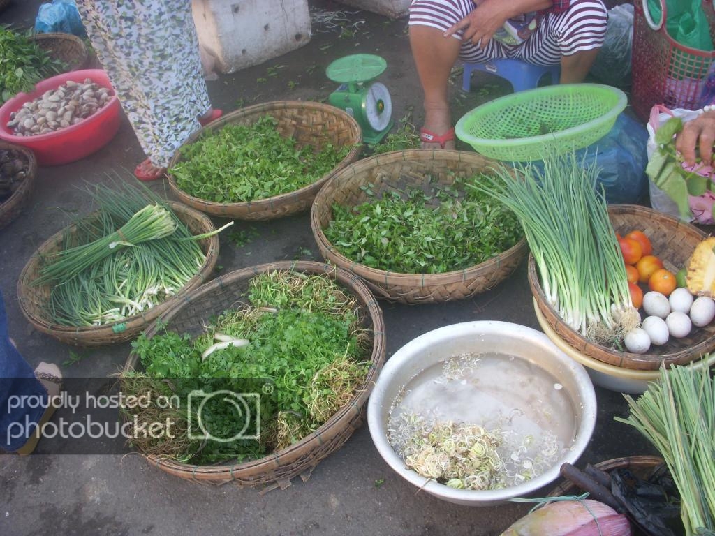 DSCN5580_zps3edfede0.jpg