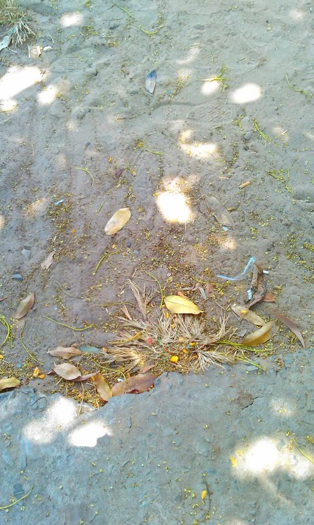 IMAG0580.jpg