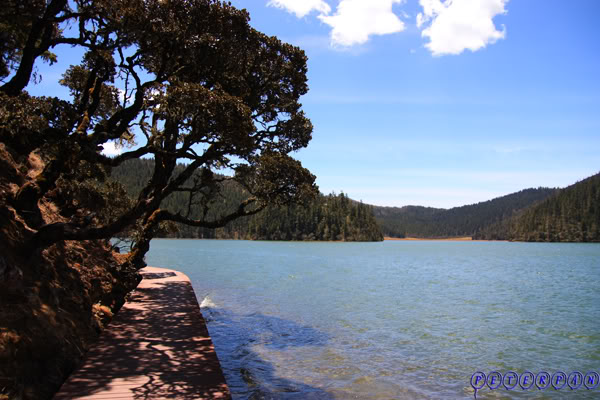 shangri-la265.jpg
